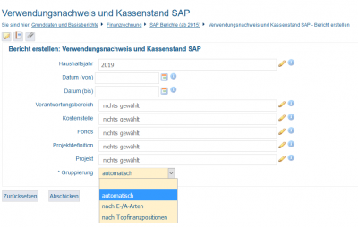 Maske des Berichts "Verwendungsnachweis SAP"