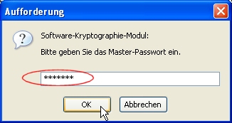 Master-Passwort eingeben