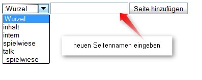 Formularfeld zum Anlegen neuer Seiten